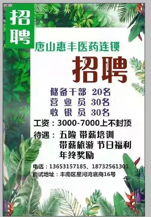 丰南人才网最新招聘信息汇总