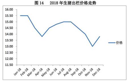 最新猪价行情分析与预测报告