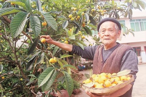 泸州况场最新规划图揭秘，未来城市的繁荣与发展蓝图