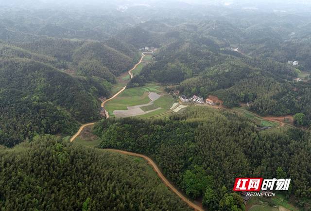 衡阳县樟树乡未来规划展望